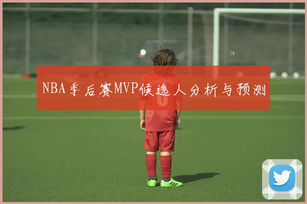 NBA季后赛MVP候选人分析与预测